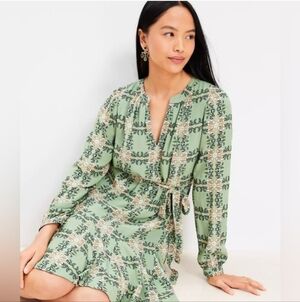 LOFT Title Vine Godest Dress.